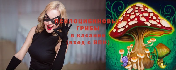 a pvp Вязьма