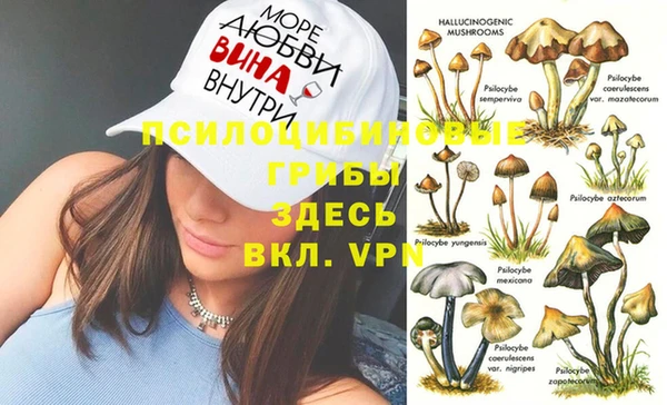 спайс Вяземский