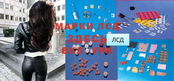 спайс Вяземский